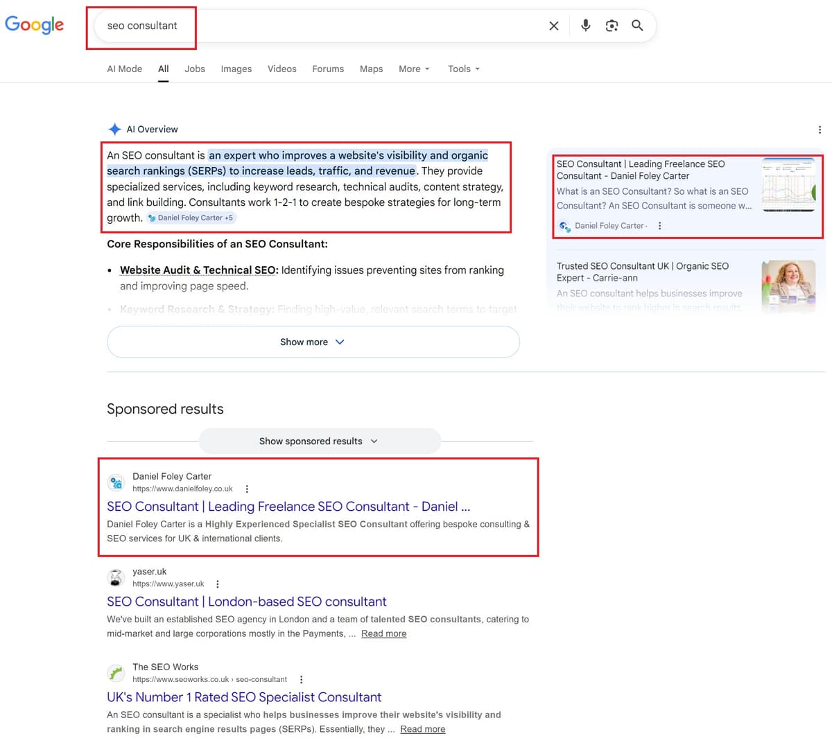 Daniel Foley Carter ranking #1 for SEO Consultant