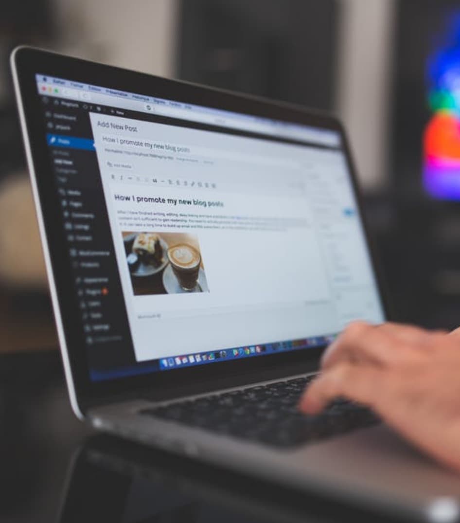 WordPress SEO consulting platform expertise